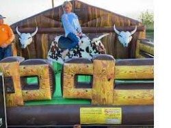 Western Mechanical Bull
