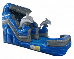 DSD JPG w Background 2 removebg preview 1704748599 14' Dolphin Splash Down Slide