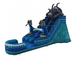 Octo Dive Warehouse Pic 2 removebg preview 1706459937 20' Octo Dive Dual Lane